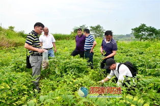 科技賦能產(chǎn)業(yè)，專家調(diào)研助力邵東中藥材基地發(fā)展